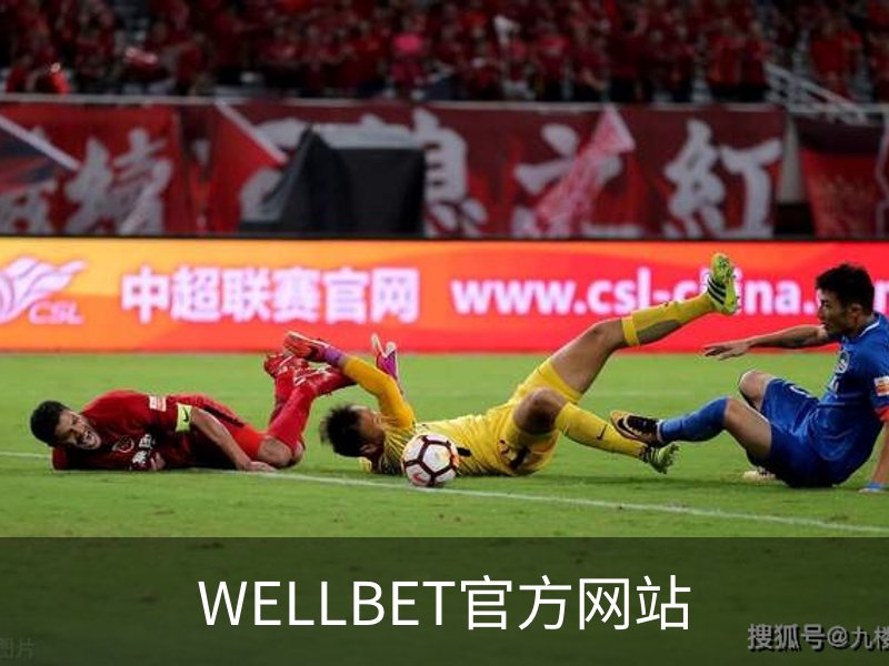 WELLBET官方网站概况